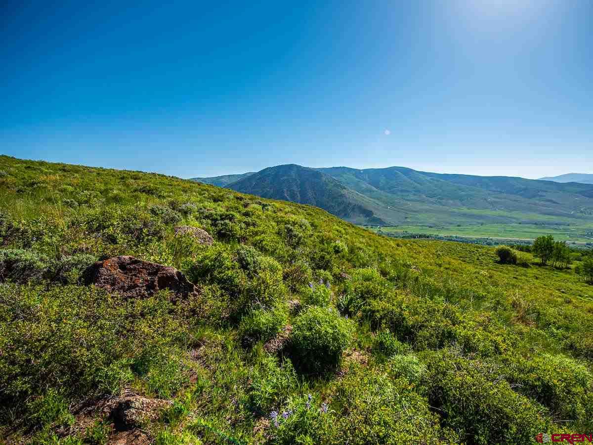 1383 Lariat Road Almont, CO 81210 - Photo 33 of 35 a view of an lush green mountain