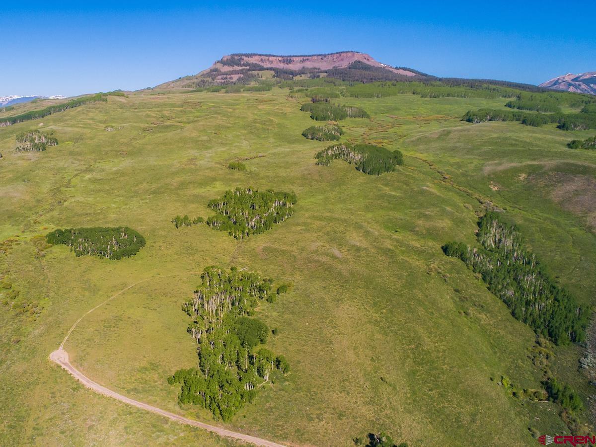 1383 Lariat Road Almont, CO 81210 - Photo 7 of 35 a view of a swimming pool with a yard