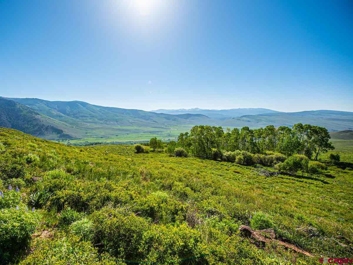 1383 Lariat Road Almont, CO 81210 - Photo 10 of 35 a view of a lush green outdoor space with a lake view