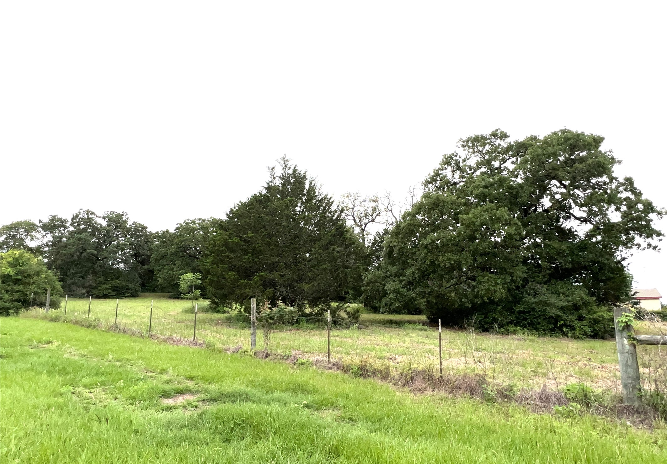 160 Rosanky Cattle Company Road, Unit R Smithville, TX 78957 - Photo 12 of 19 a view of backyard with green space