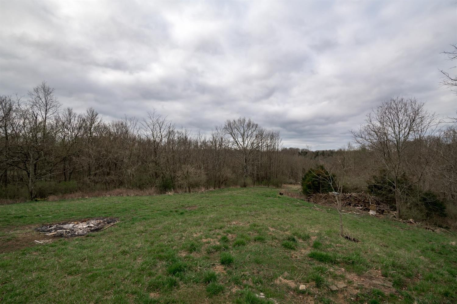 1433 Union Ridge Road Frankfort, KY 40601 - Photo 21 of 28 Photo 21