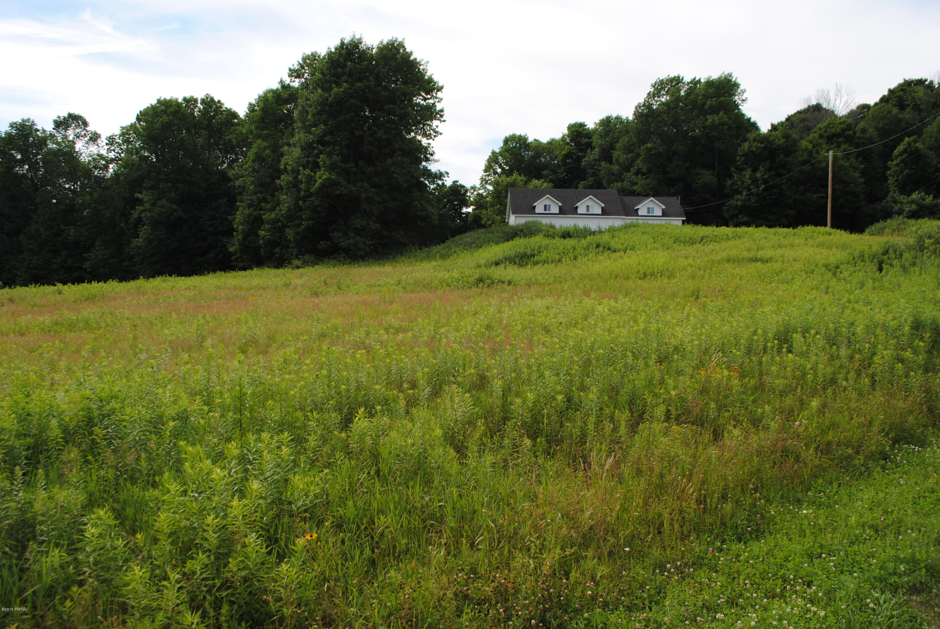 345 Ayoub Road Pleasant Mount, PA 18453 - Photo 32 of 33 View of House from the road