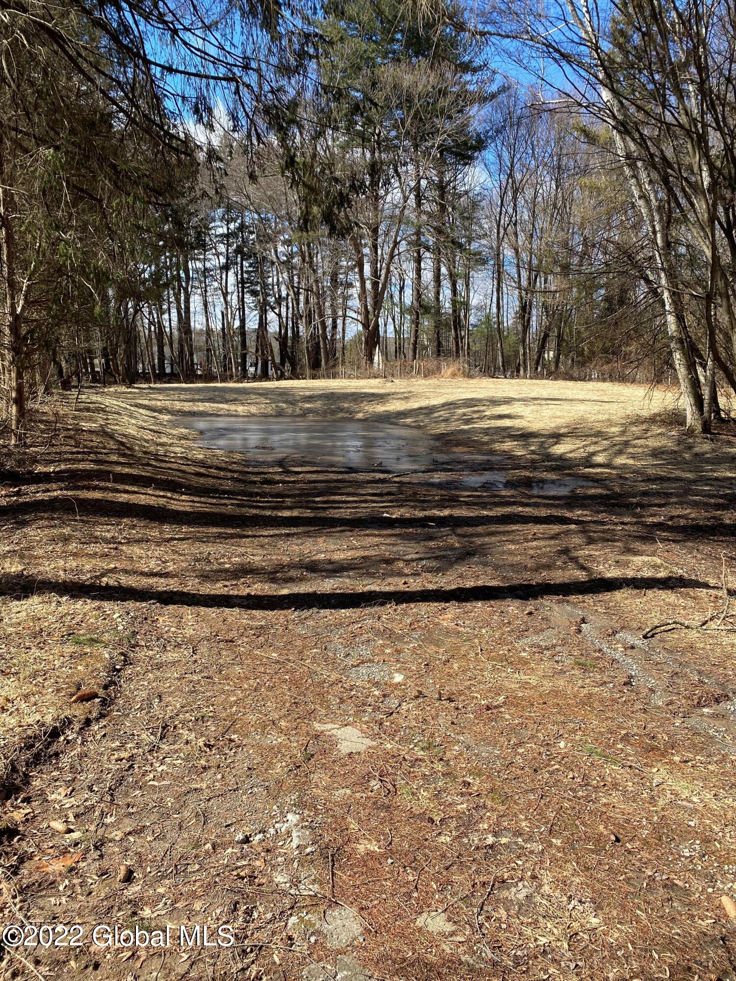 228 Bender Lane Bethlehem, NY 12077 - Photo 2 of 4 Bender 2