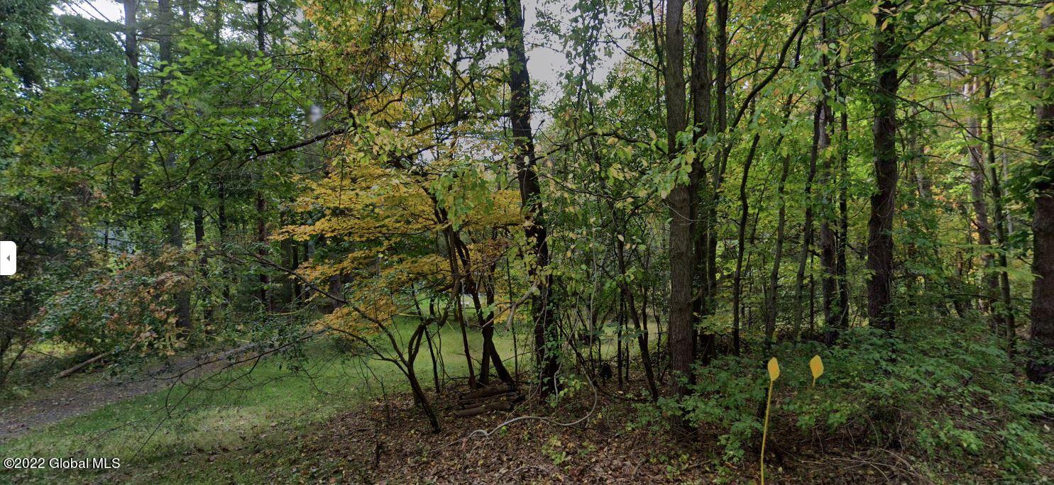 228 Bender Lane Bethlehem, NY 12077 - Photo 3 of 4 Land picture