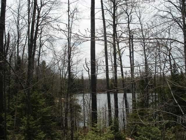 11-12 Feely Lake Road Mercer, WI 54547 - Photo 3 of 14 Gallery Image 3