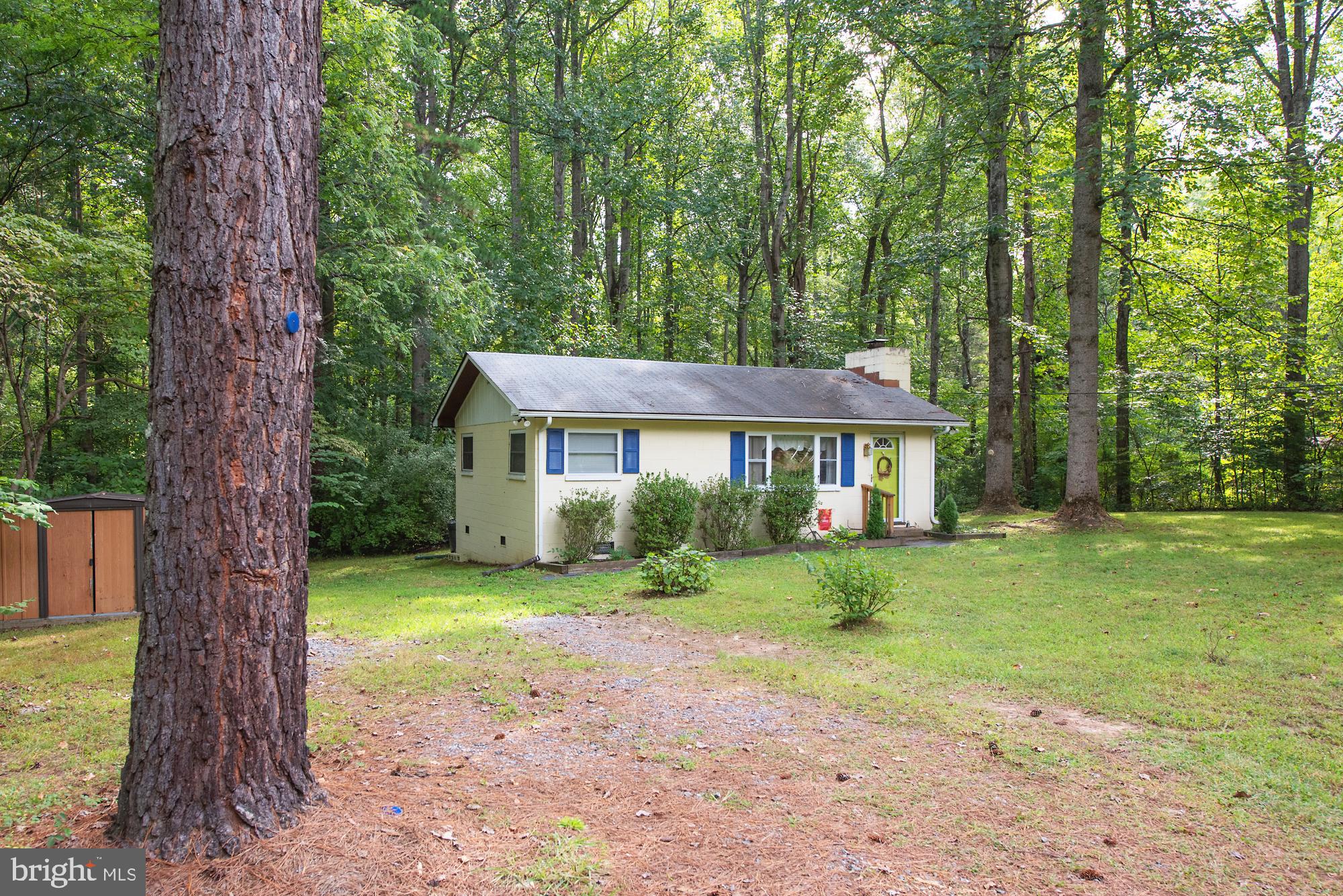 174 Pine Road Louisa, VA 23093 - Photo 6 of 41 Large gravel driveway - plenty of room for parking