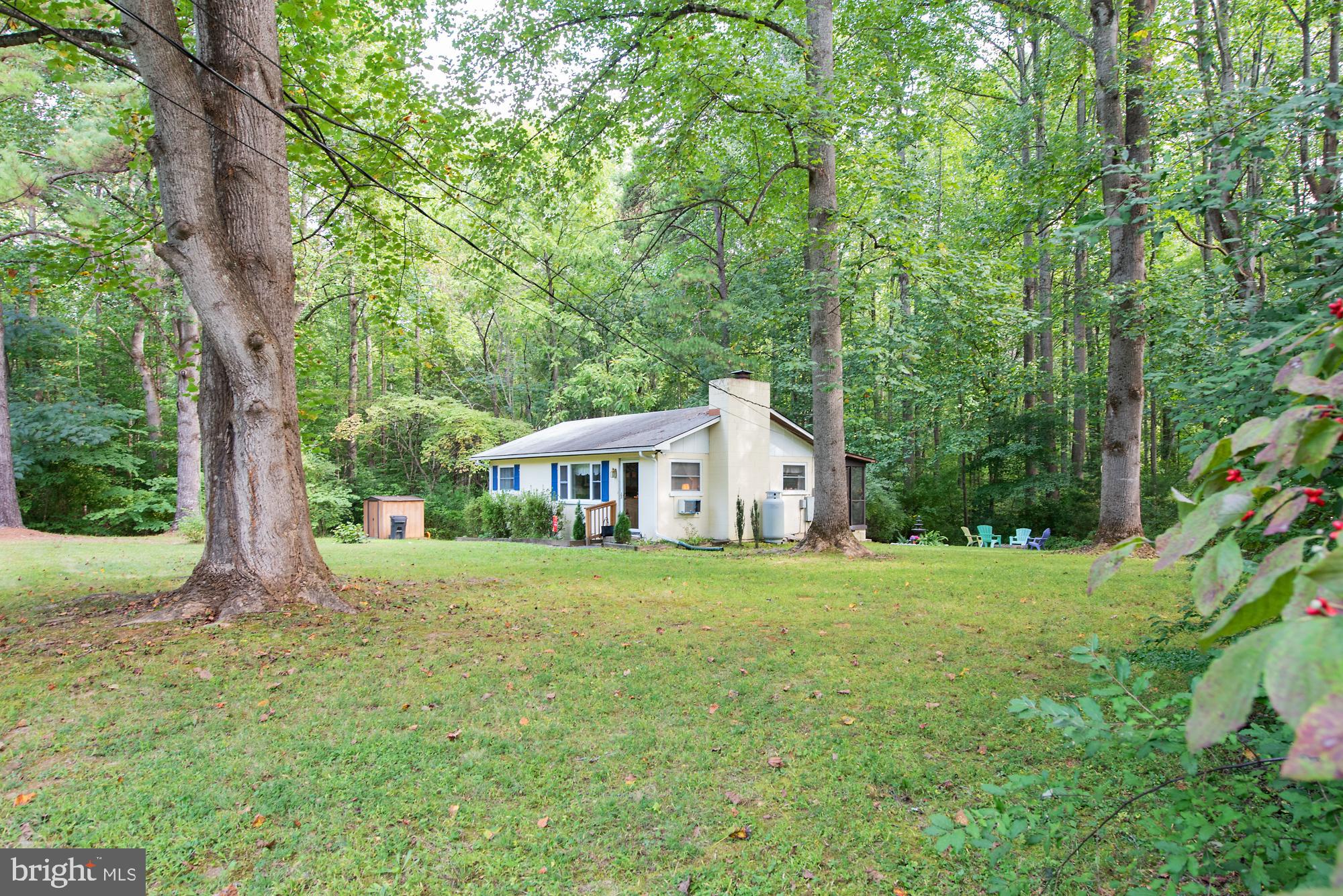 174 Pine Road Louisa, VA 23093 - Photo 8 of 41 Lots of yard