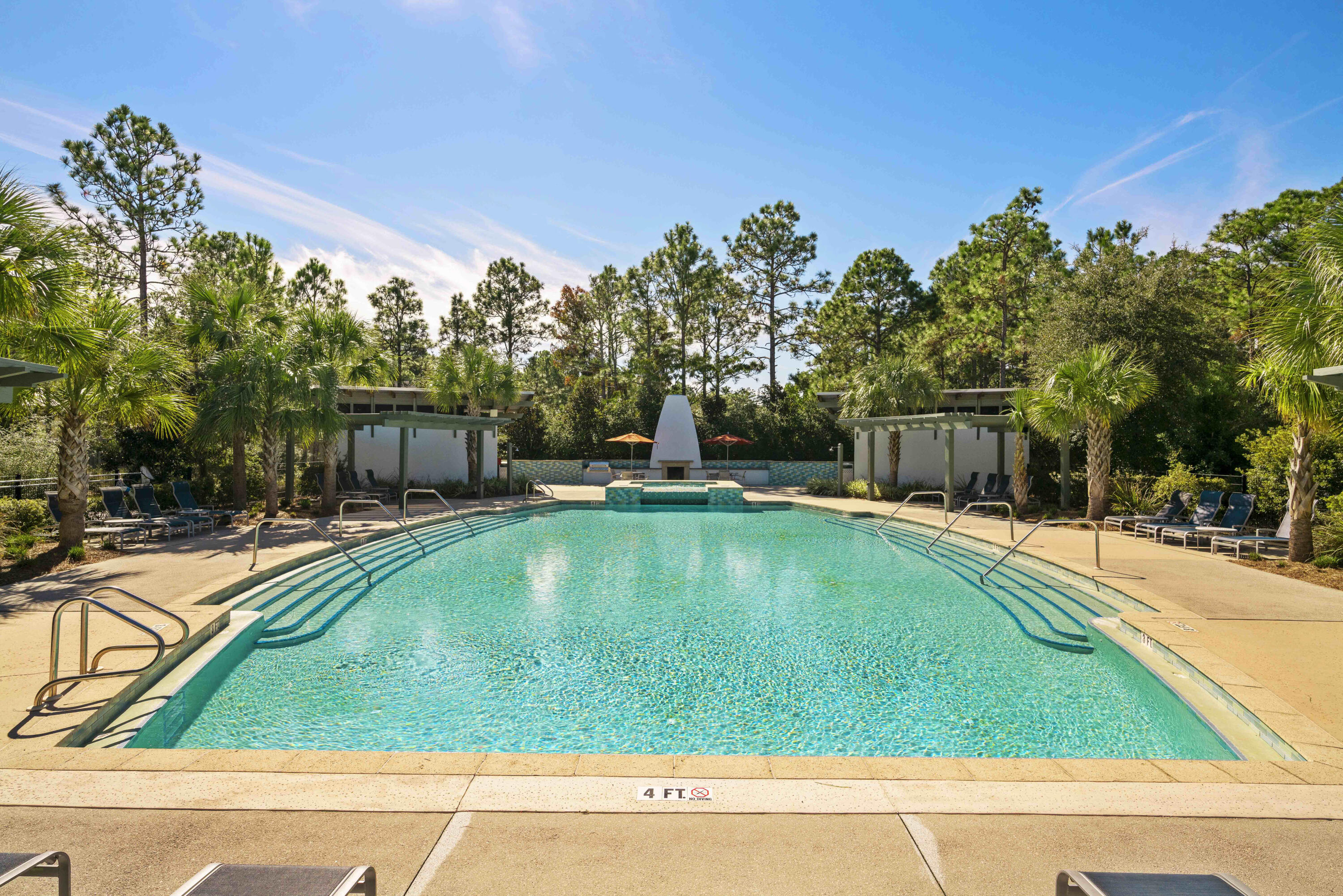 23 Winterberry Circle Santa Rosa Beach, FL 32459 - Photo 56 of 64 Dragonfly Pool