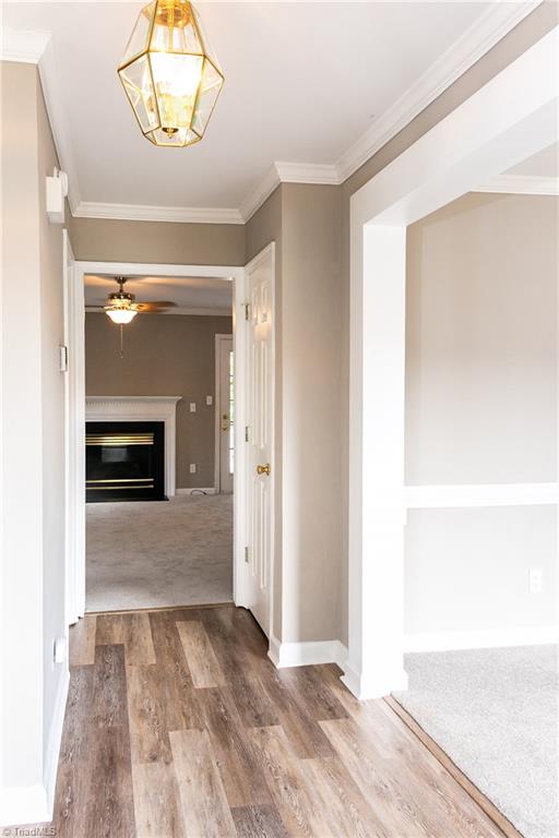 Gallery Image 7