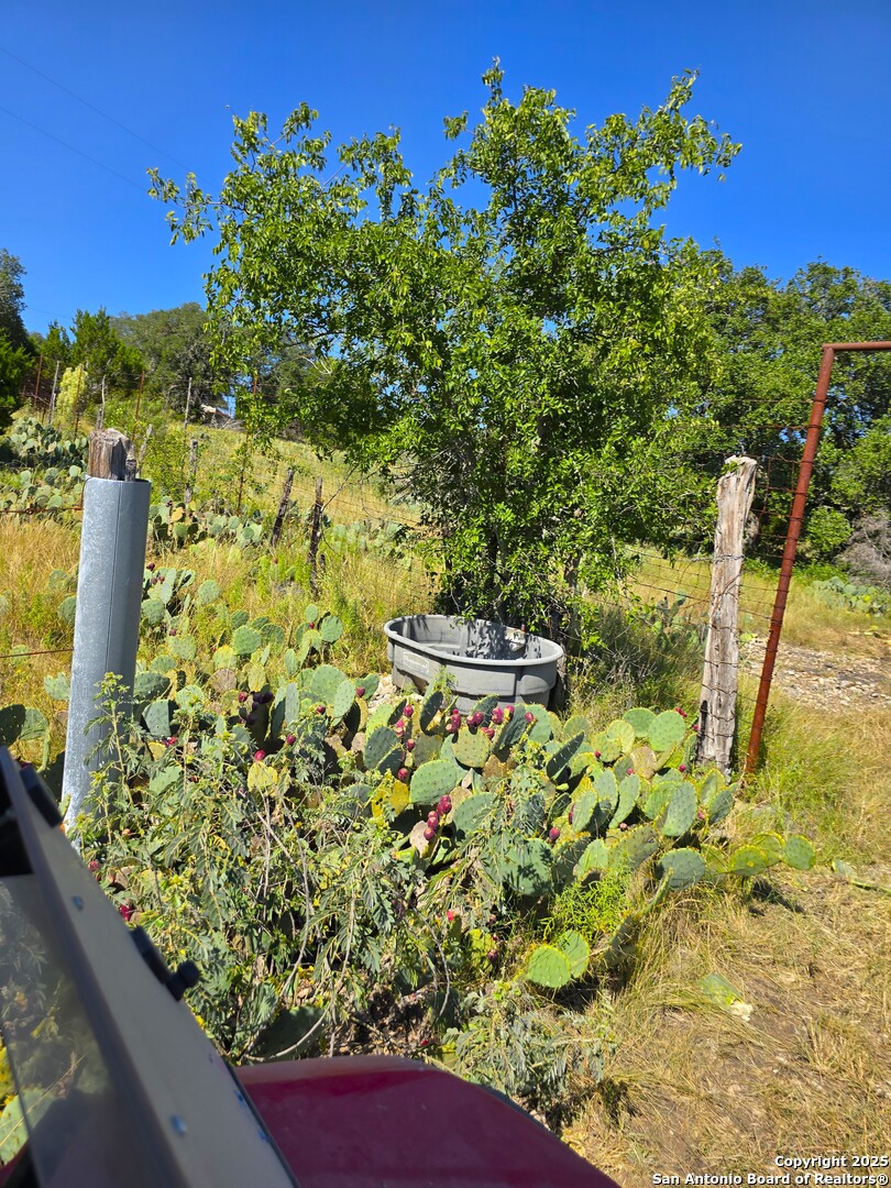 227 Mitchell Ranch Road Camp Wood, TX 78833 - Photo 27 of 72 a view of a yard with plants