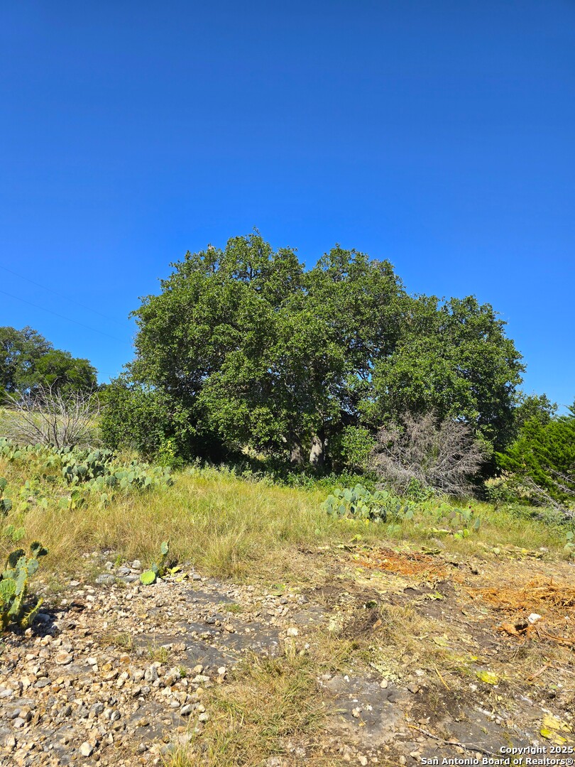227 Mitchell Ranch Road Camp Wood, TX 78833 - Photo 28 of 72