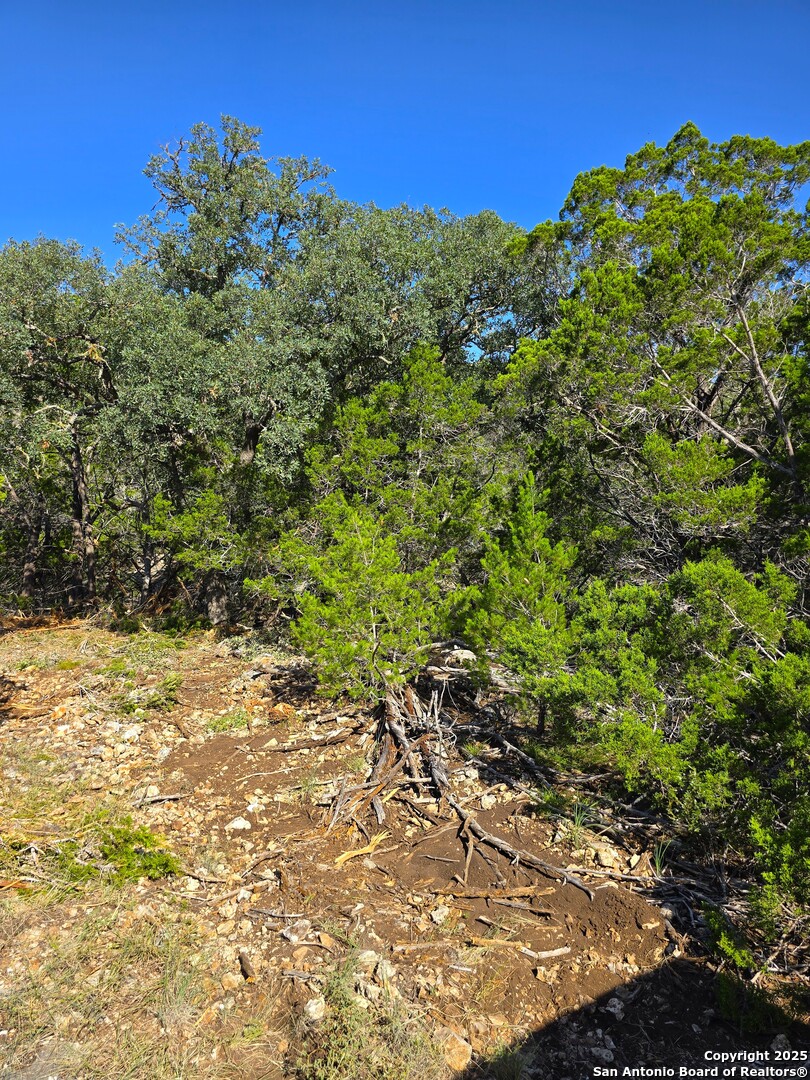 227 Mitchell Ranch Road Camp Wood, TX 78833 - Photo 39 of 72 a view of a large yard with lots of green space