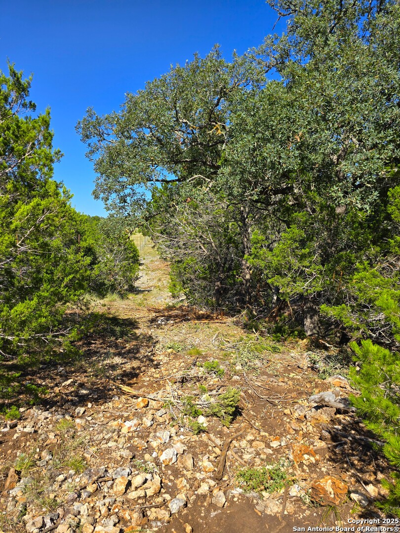 227 Mitchell Ranch Road Camp Wood, TX 78833 - Photo 40 of 72 a view of a yard with a tree