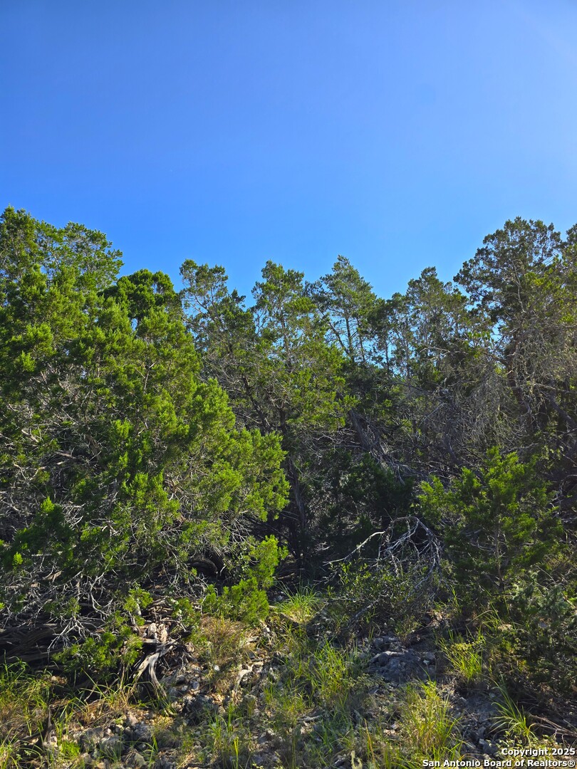 227 Mitchell Ranch Road Camp Wood, TX 78833 - Photo 43 of 72 a view of a green field