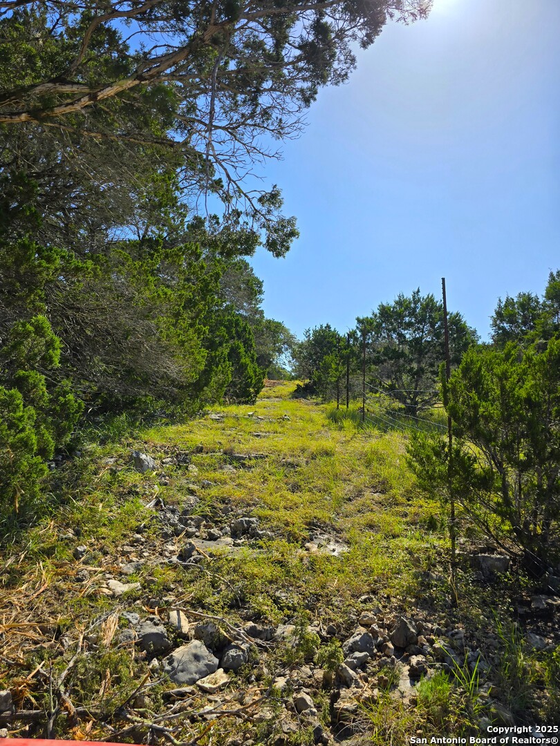 227 Mitchell Ranch Road Camp Wood, TX 78833 - Photo 44 of 72
