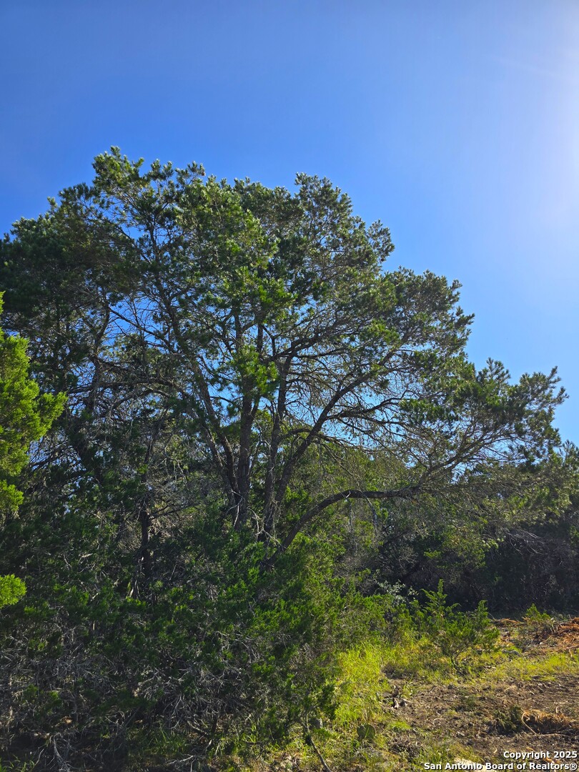 227 Mitchell Ranch Road Camp Wood, TX 78833 - Photo 45 of 72
