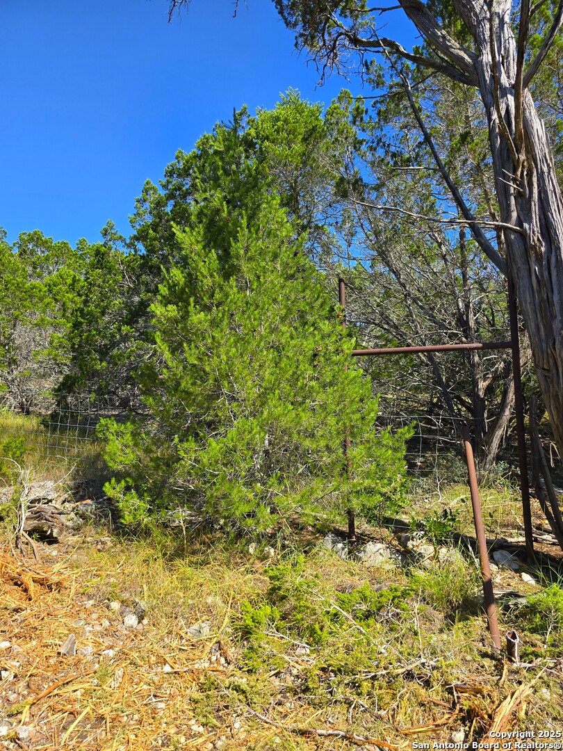 227 Mitchell Ranch Road Camp Wood, TX 78833 - Photo 58 of 72 a view of a yard