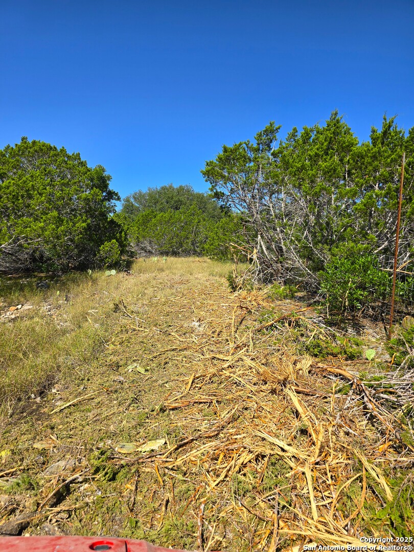 227 Mitchell Ranch Road Camp Wood, TX 78833 - Photo 60 of 72