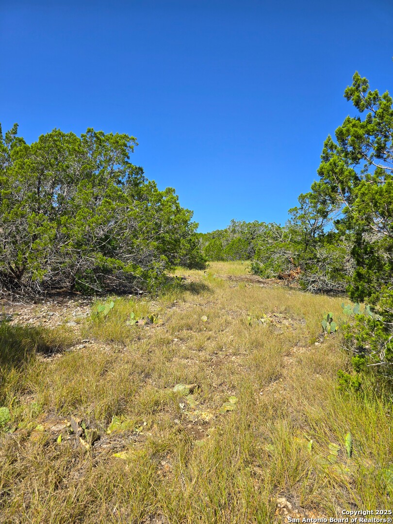 227 Mitchell Ranch Road Camp Wood, TX 78833 - Photo 69 of 72 a view of yard with green space