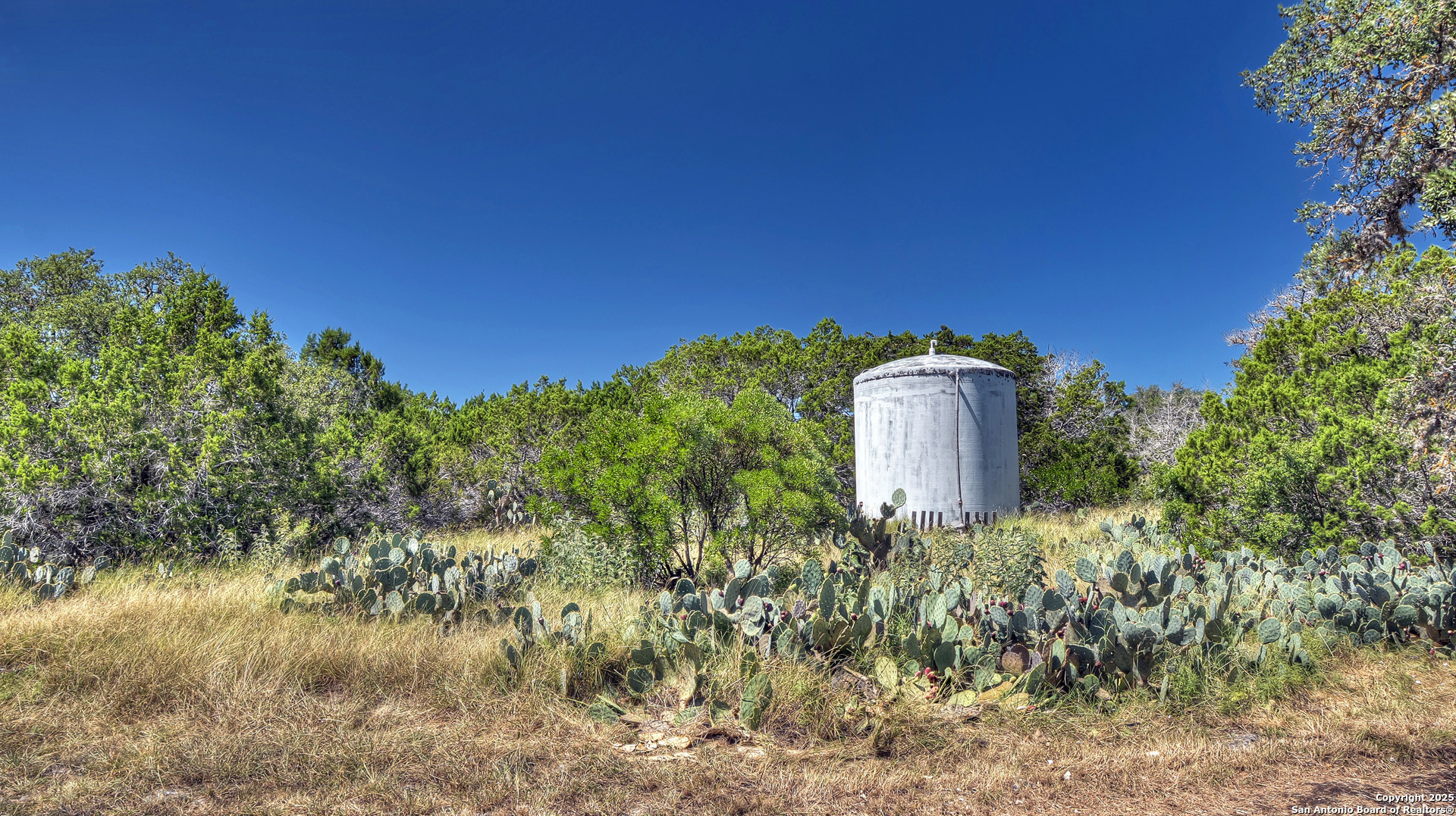 227 Mitchell Ranch Road Camp Wood, TX 78833 - Photo 72 of 72 a backyard of a house with lots of green space and plants