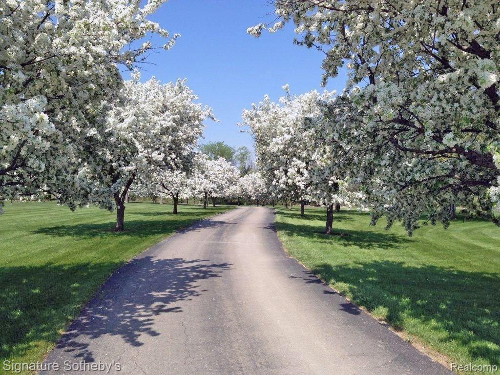 Stunning spring driveway scene