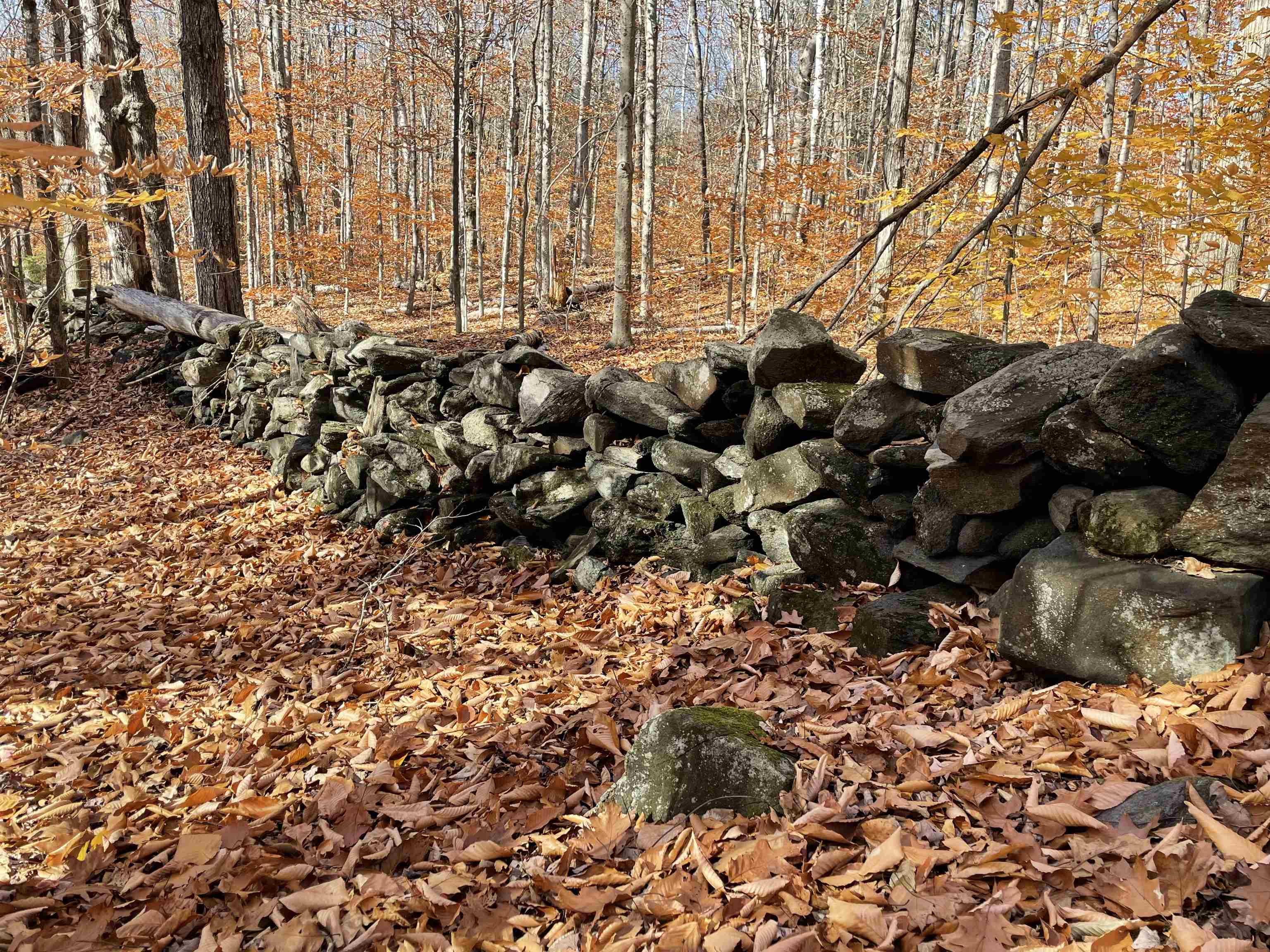 0 Parkman Wood Road Putney, VT 05346 - Photo 4 of 13