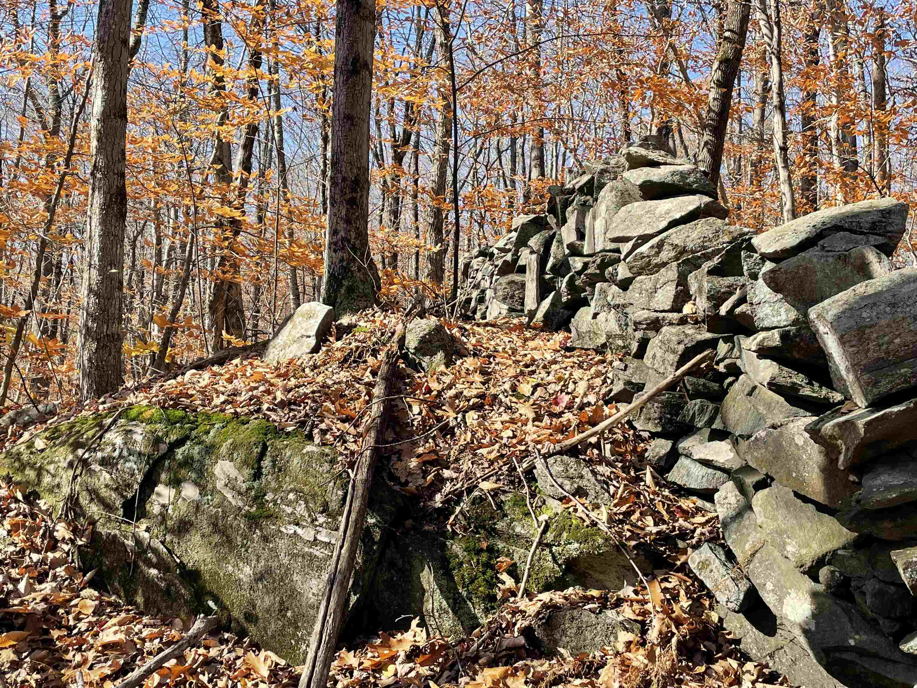 0 Parkman Wood Road Putney, VT 05346 - Photo 6 of 13
