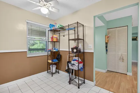 a view of a garden from a window