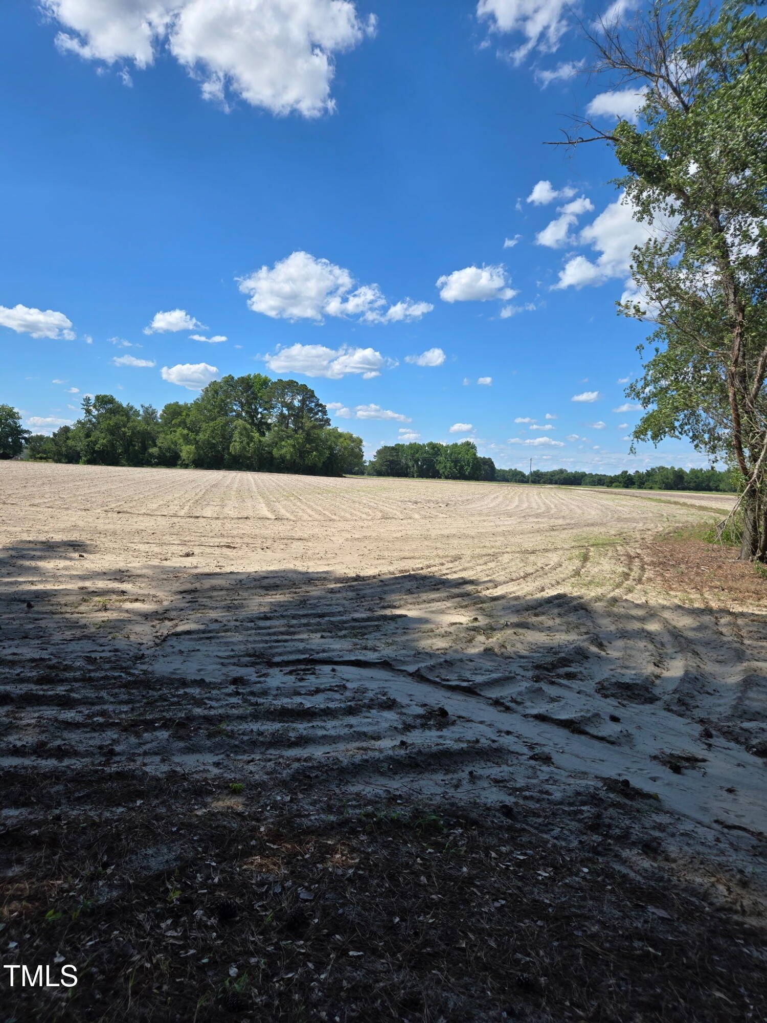 0 Lee-Johnson Road Dunn, NC 28334 - Photo 14 of 15 1000041253