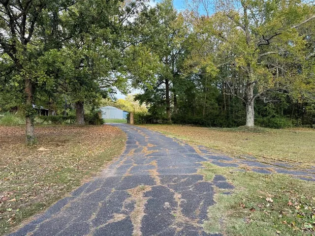 a view of a yard with large trees