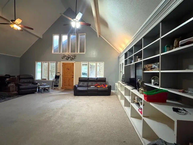 a view of livingroom with furniture and toys