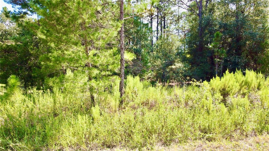 20500 Southwest Audubon Ave