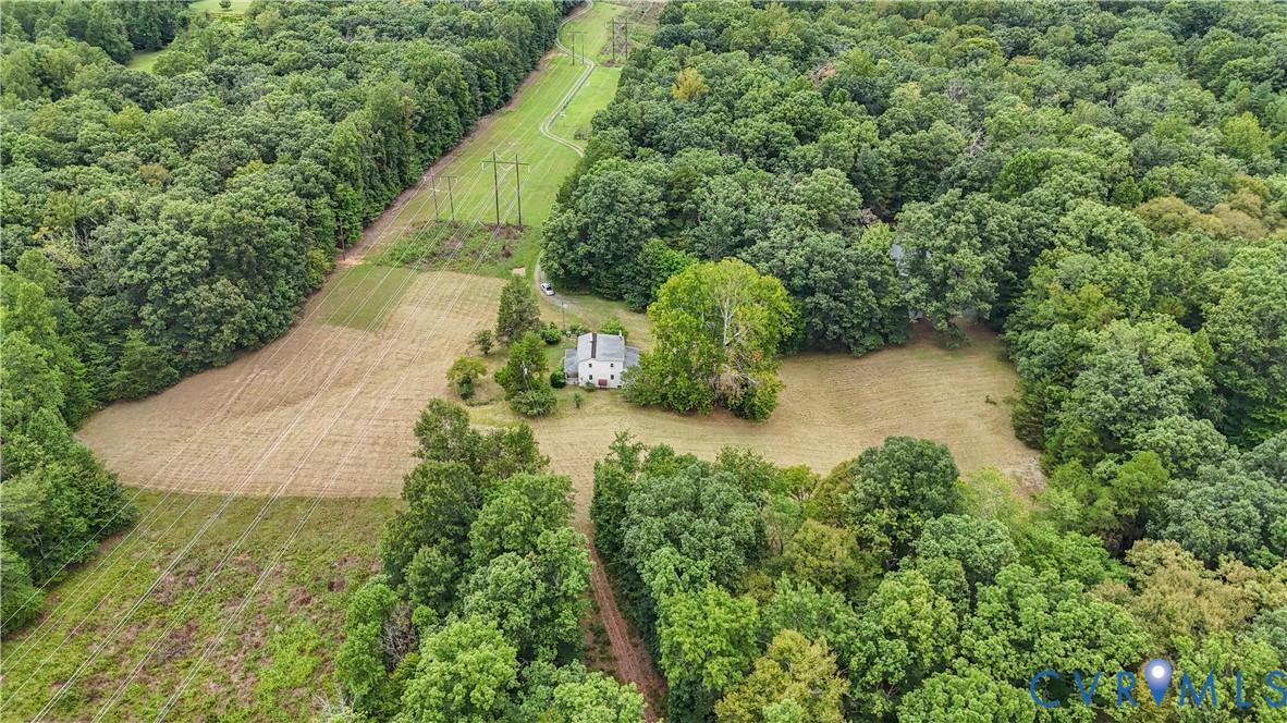 1497 Sutlers Road Charlottesville, VA 22902 - Photo 4 of 20 a view of a yard with plants and large trees
