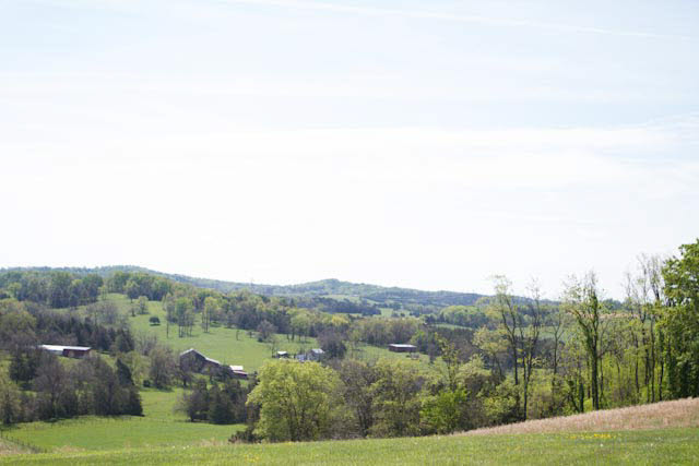 6009 Spring Hill Road Bridgewater, VA 22812 - Photo 24 of 25 a view of a city with lush green forest