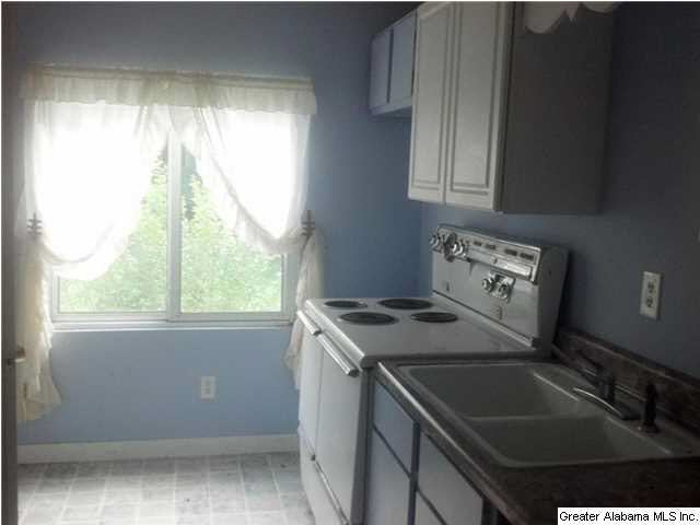 9868 Highway 431 Alexandria, AL 36250 - Photo 23 of 28