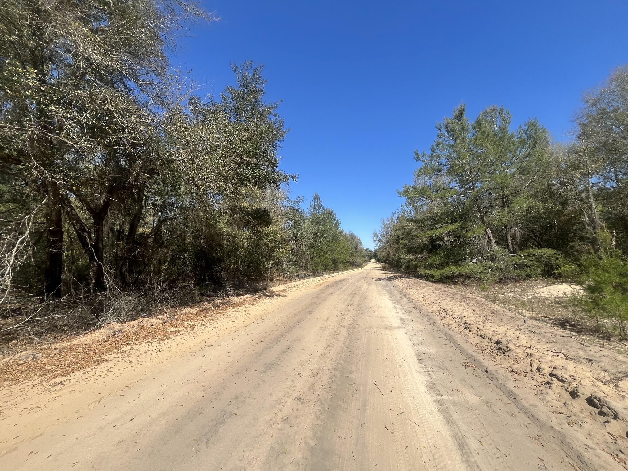 Tbd Kitty Avenue, Unit 13 Interlachen, FL 32148 - Photo 2 of 8 a view of a yard with wooden fence