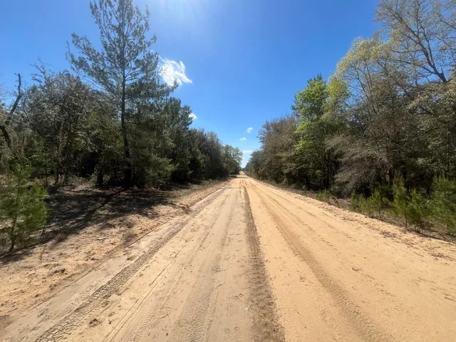 a view of swimming pool with wooden fence