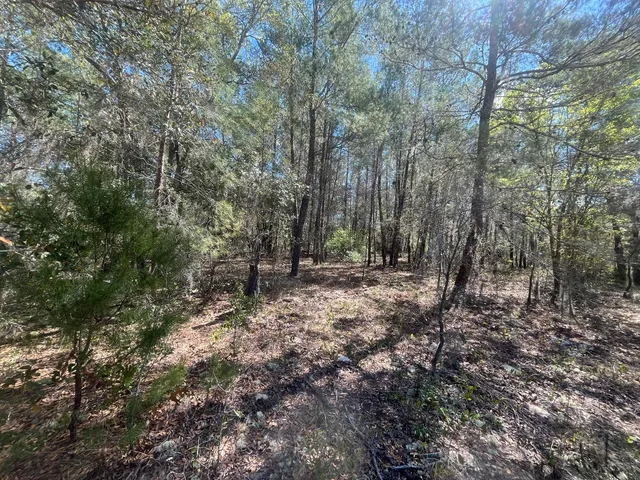 a view of outdoor space and green space