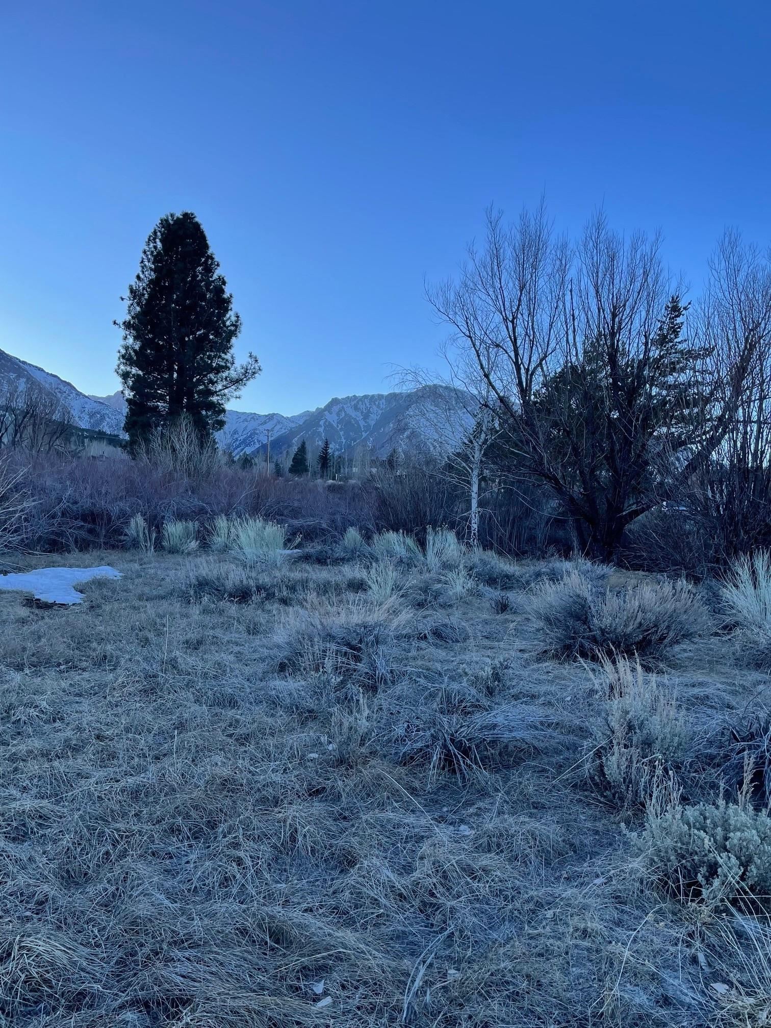 Lot 25-26 South Landing Road, Unit 26 Mammoth Lakes, CA 93546 - Photo 12 of 13
