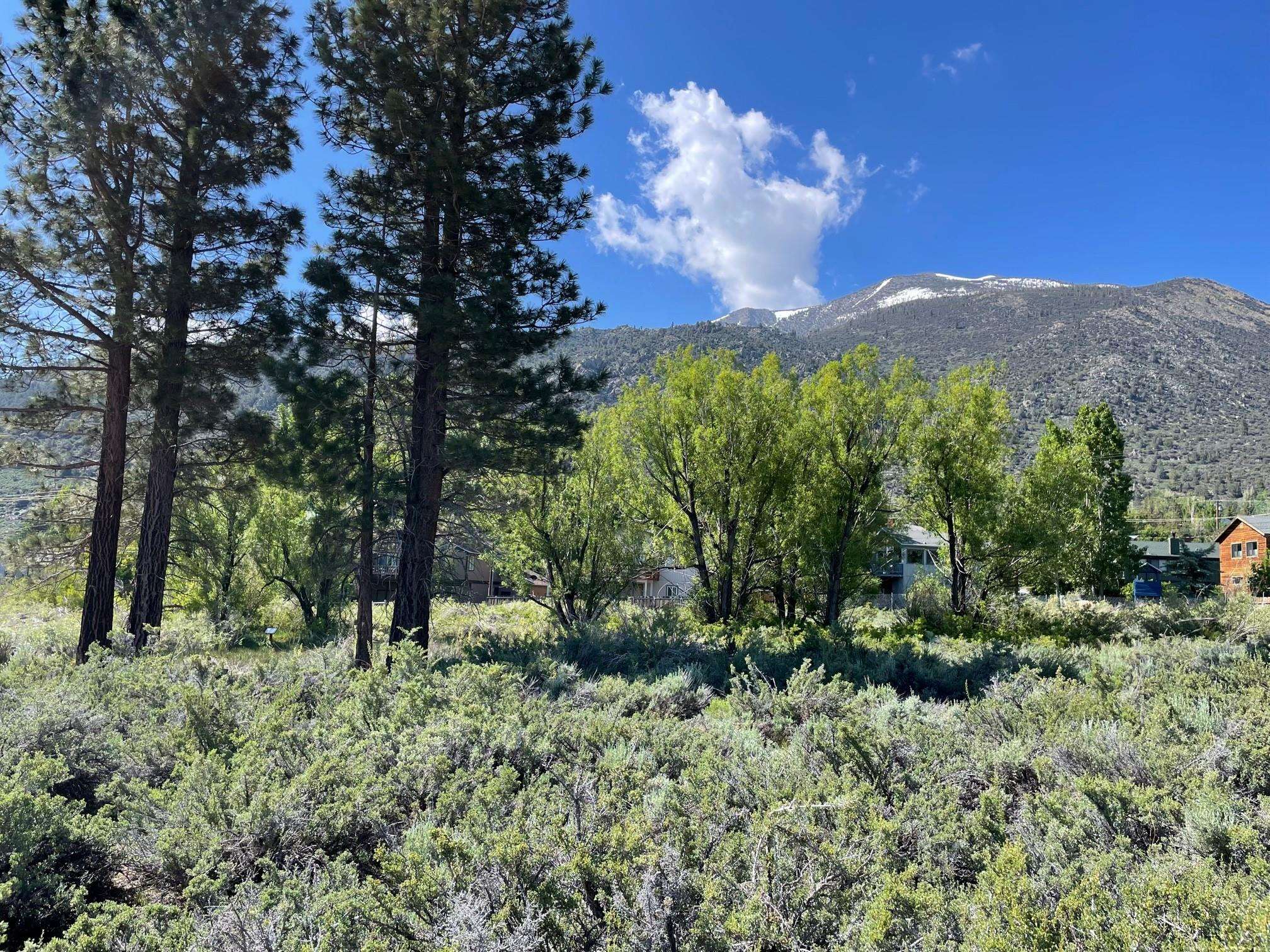 Lot 25-26 South Landing Road, Unit 26 Mammoth Lakes, CA 93546 - Photo 2 of 13