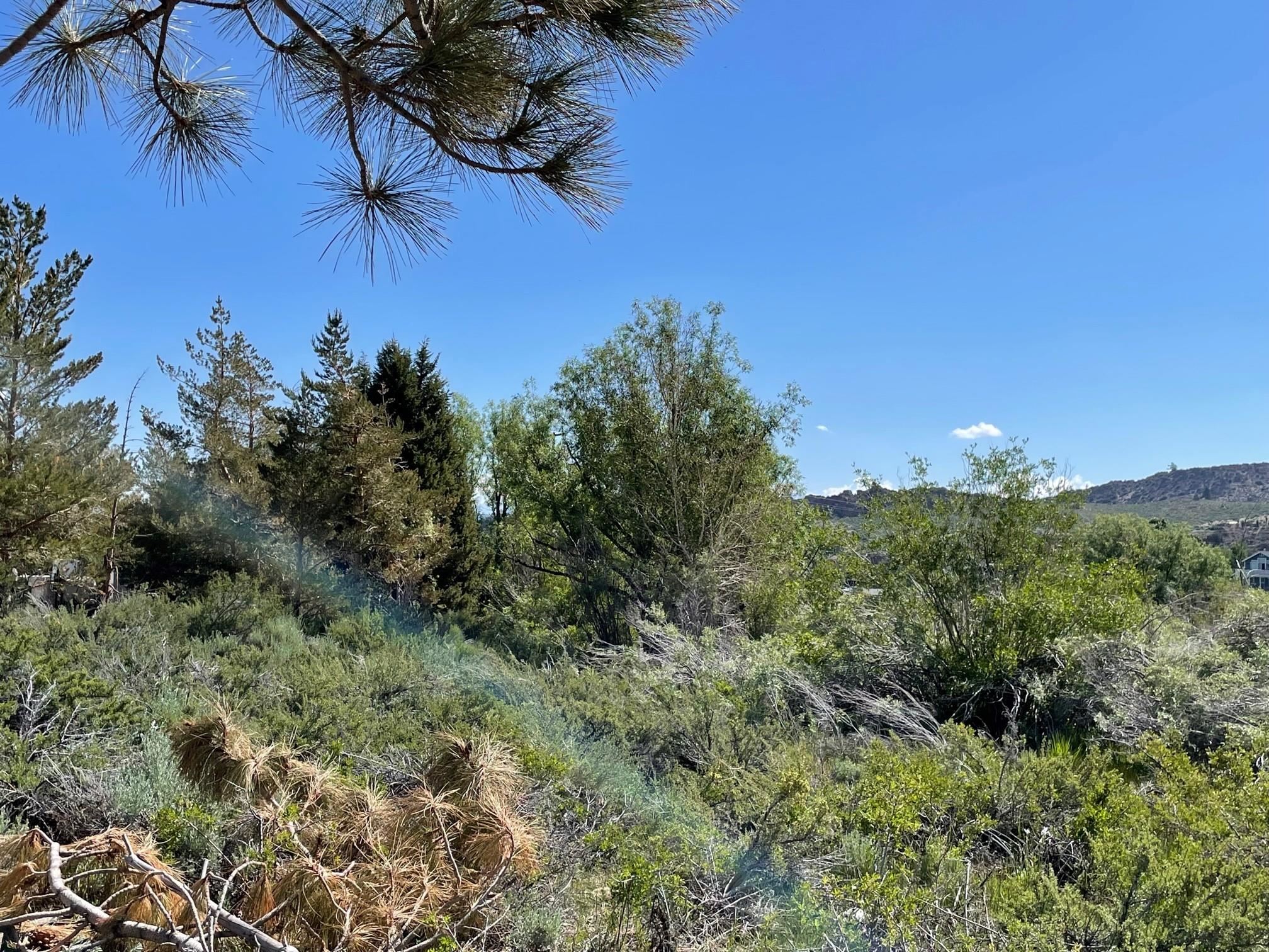 Lot 25-26 South Landing Road, Unit 26 Mammoth Lakes, CA 93546 - Photo 4 of 13