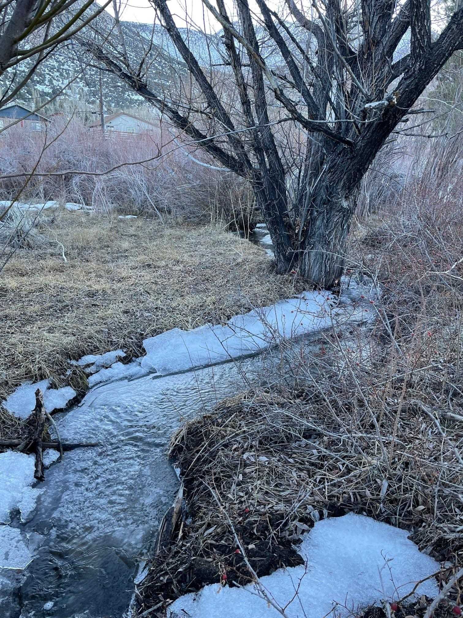 Lot 25-26 South Landing Road, Unit 26 Mammoth Lakes, CA 93546 - Photo 9 of 13