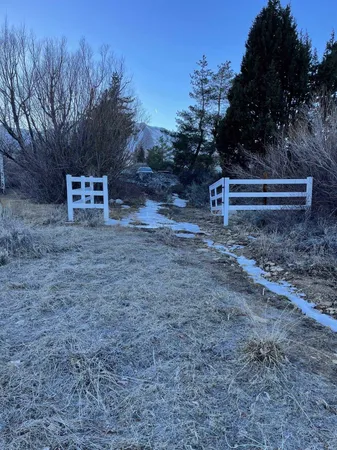 a view of a dry yard with mountain and trees