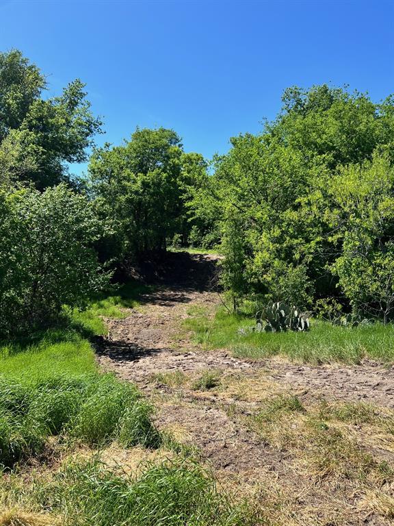 Tbd Tbd Tx-16 Comanche Tx