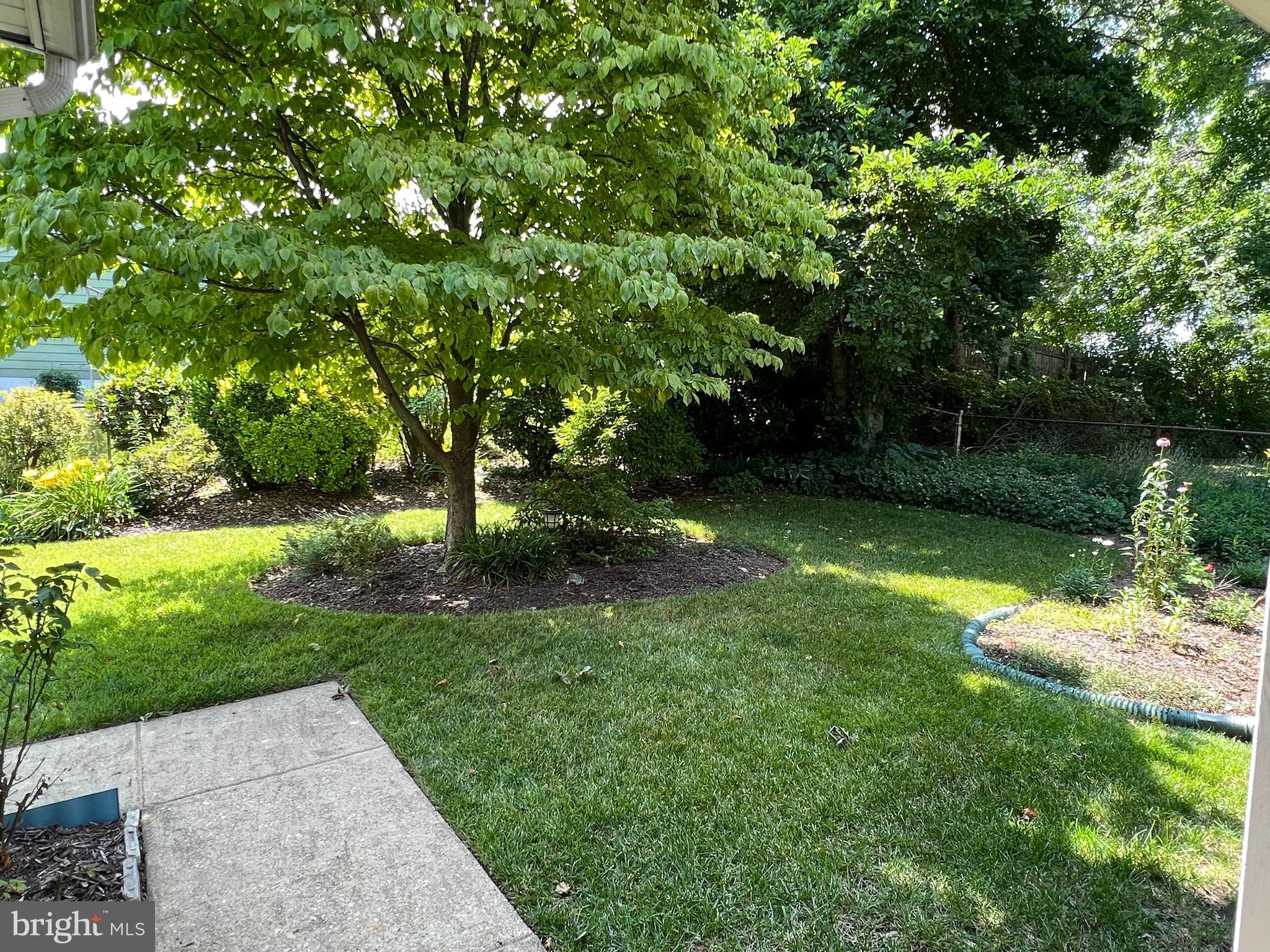 3019 Graham Road Falls Church, VA 22042 - Photo 6 of 11 Private, landscaped backyard