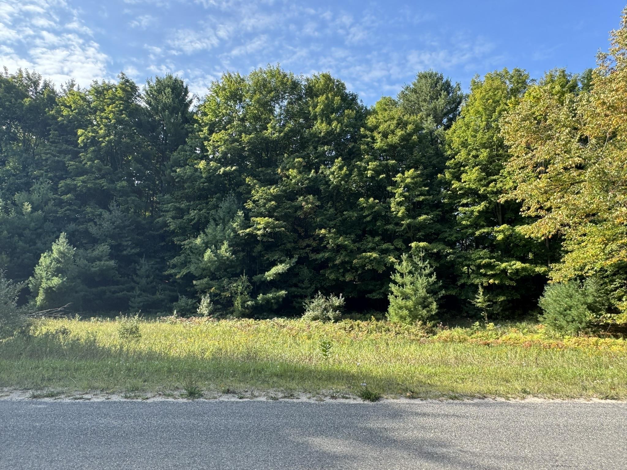 Lot 5 East Old Mountain Road, Unit LOT: 5 Cedar, MI 49621 - Photo 7 of 10