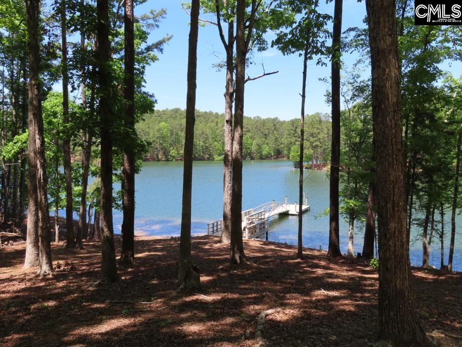 201 State Rd S-20-99 Blair, SC 29015 - Photo 61 of 61