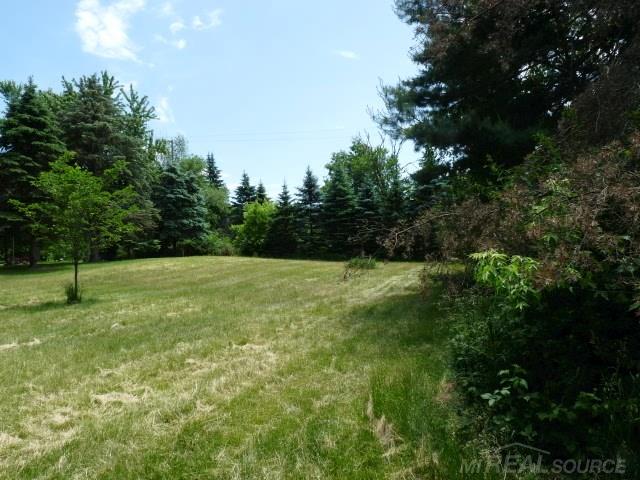 14788 Turner Road Yale, MI 48097 - Photo 13 of 14 31294473-12.JPG