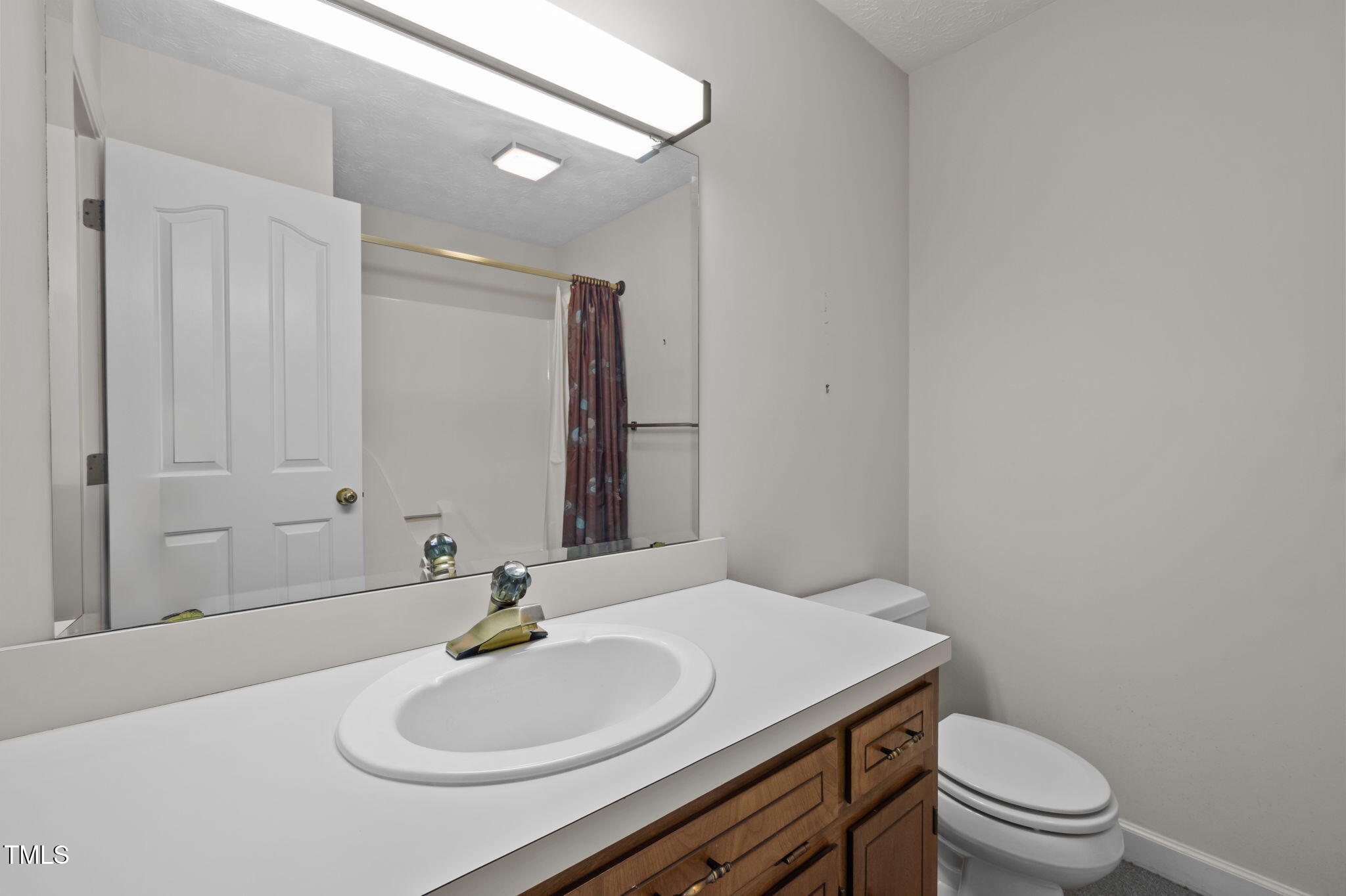 74 Alleghany Drive Roxboro, NC 27573 - Photo 41 of 62 a bathroom with a sink a toilet and mirror