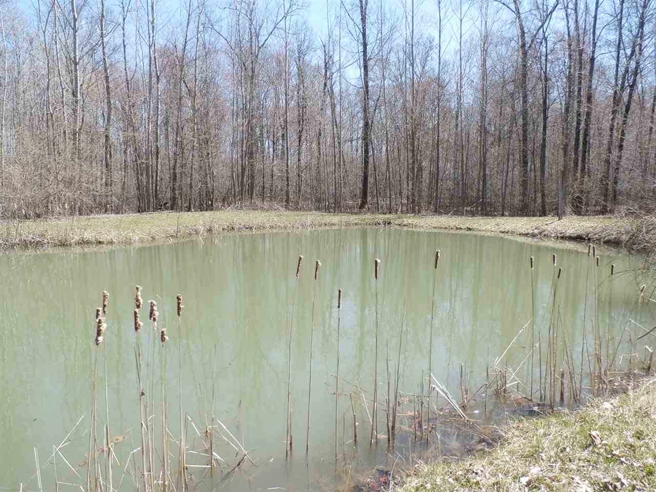 11396 Seymour Road Burt, MI 48417 - Photo 27 of 40